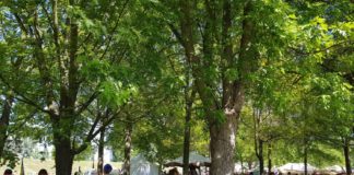 Sommerliche Szent László Tage in Györ