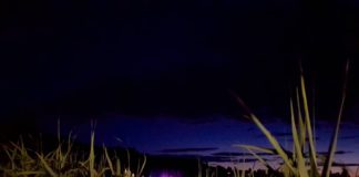 Impressionen vom Bánkitó Festival