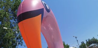 Badetiere-Trend: Flamingo oder Einhorn?