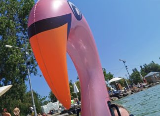 Badetiere-Trend: Flamingo oder Einhorn?