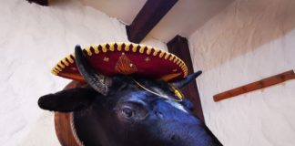 Spanisch in Ungarn? Restaurante Tio Pepe in Györ verbindet Ungarische und Spanische Küche