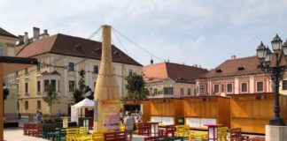 Győrer Weintage – Wein- und Gastronomie