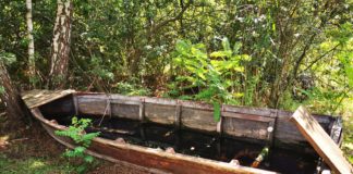 Am See in Bokod: Was ist denn hier falsch?