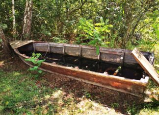 Am See in Bokod: Was ist denn hier falsch?