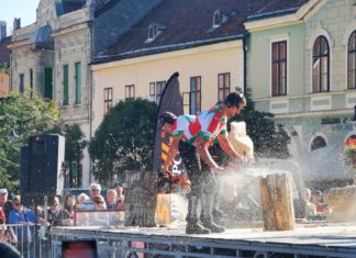 Kettensägen-Action auf Ernteevent in Köszeg