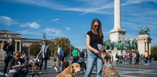 „Hunde-Demo“ in Budapest