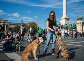 „Hunde-Demo“ in Budapest