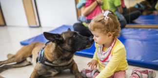 Der ungarische Rettungshund wurde zum besten Suchhund der Welt ausgezeichnet
