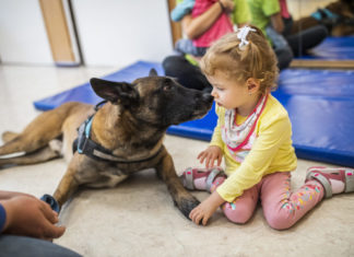 Der ungarische Rettungshund wurde zum besten Suchhund der Welt ausgezeichnet