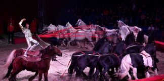 Reitakrobatik: In Debrecen wurde Weltrekord der „Ungarischen Post“ aufgestellt