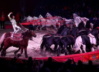 Reitakrobatik: In Debrecen wurde Weltrekord der „Ungarischen Post“ aufgestellt