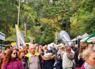 Herbstliches Ungarn: Kastanienfest in Velem lockte Tausende!