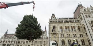Der Weihnachtsbaum des Landes wurde vor dem Parlament aufgestellt