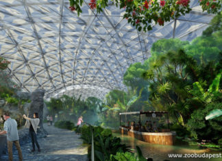 Tropischer Abenteuerpark in Budapest im Bau