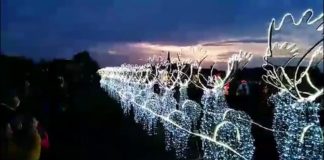 Weihnachtlicher Rekord in Szerencs: Mega Rentierschlitten leuchtet mit 64.620 LED Lichtern!