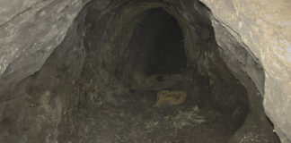 Illegale Einwanderungs-Tunnel wurden von der Polizei sichergestellt