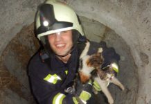 Tierrettung! Feuerwehr rettet kleine Katzen aus 10 Meter Tiefe