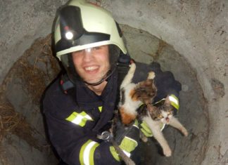 Tierrettung! Feuerwehr rettet kleine Katzen aus 10 Meter Tiefe