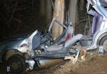 Tödlicher Verkehrsunfall in Nagyrév: Kollision mit Baum!