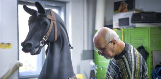 Renovierung in Debrecens Freizeitpark