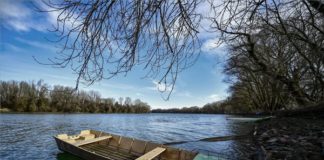 Tisza Wildlife Remembrance Day – Zwanzig Jahre nach der Zyanidkatastrophe