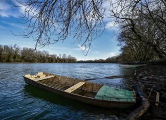 Tisza Wildlife Remembrance Day – Zwanzig Jahre nach der Zyanidkatastrophe