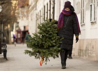 Tschüß Weihnachtsbaum!