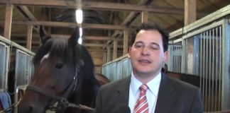 Ausflug auf die Budapester Pferderennbahn