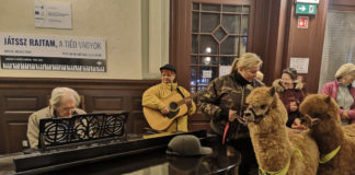Ein besonderes Konzert am Pécser Bahnhof – Alpakas und Pianosound