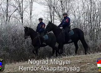 Polizei in Nordungarn setzt auf Vierbeiner!