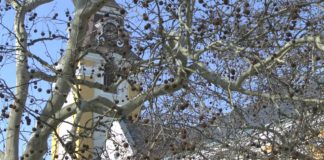 Ein Ausflug nach Sárvár – Hier ist eine der wenigen Wasserburgen Ungarns