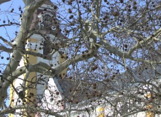 Ein Ausflug nach Sárvár – Hier ist eine der wenigen Wasserburgen Ungarns