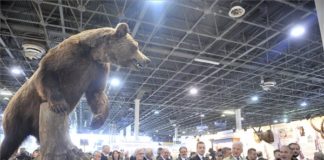 Mehr als 50.000 Menschen besuchten FeHoVa – Fischerei- und Jagdausstellung in Budapest