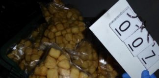 Ekel-Alarm in Tofu-Herstellung in Budapest!