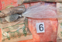 Fast zweihundert Polizisten und Spezialeinheit erfolgreich im Einsatz gegen Drogenbande!