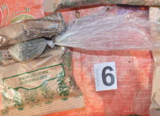 Fast zweihundert Polizisten und Spezialeinheit erfolgreich im Einsatz gegen Drogenbande!