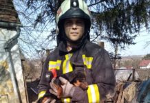 Dombóvár: Tagelang war ein Welpe in 12 Meter tiefem Brunnen – Die Feuerwehr rettete ihn!