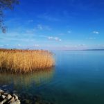 balaton-fruehling3