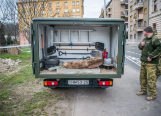 Was war denn da in Budapest los? 50 kilogramm Bombe entdeckt!