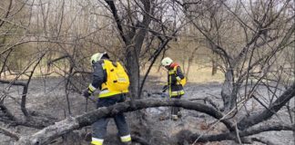 Busch- und Flächenbrände halten weiterhin die Feuerwehren in Atem