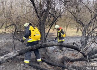 Busch- und Flächenbrände halten weiterhin die Feuerwehren in Atem