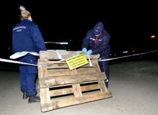 Grausiger Fund in Szentendre!