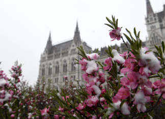 Schneebedecktes Ungarn – So sieht´s aus in den einzelnen Regionen