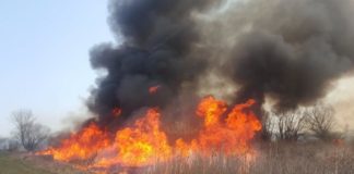 Zahlreiche Flächenbrände am Wochenende in Ungarn