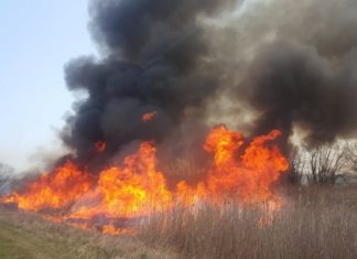 Zahlreiche Flächenbrände am Wochenende in Ungarn