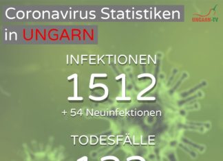 122 Coronavirus-Todesopfer in Ungarn