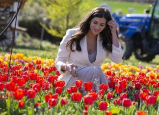 Kauft Blumen! Mit Blumen kann man die Umgebung heimischer zaubern