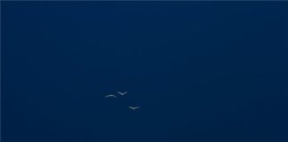 In ganz Ungarn Gewitteralarm!