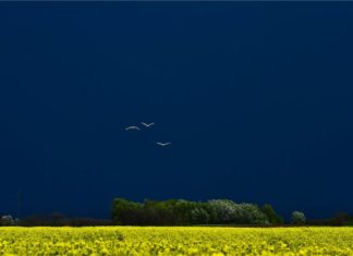 In ganz Ungarn Gewitteralarm!