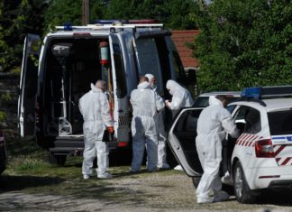 Doppelmord in Diósd!